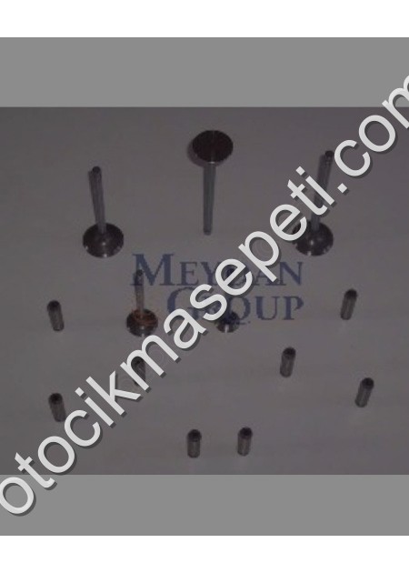 Hyundai H100 Minibüs Egzost Supapi D4Ba 2 5Cc Arm 19942096