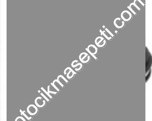 DIŞ AKS KAFASI (TR 96-04) 701498099C